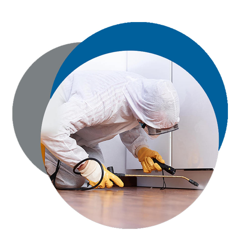 Pest-Control-Services-Melbourne