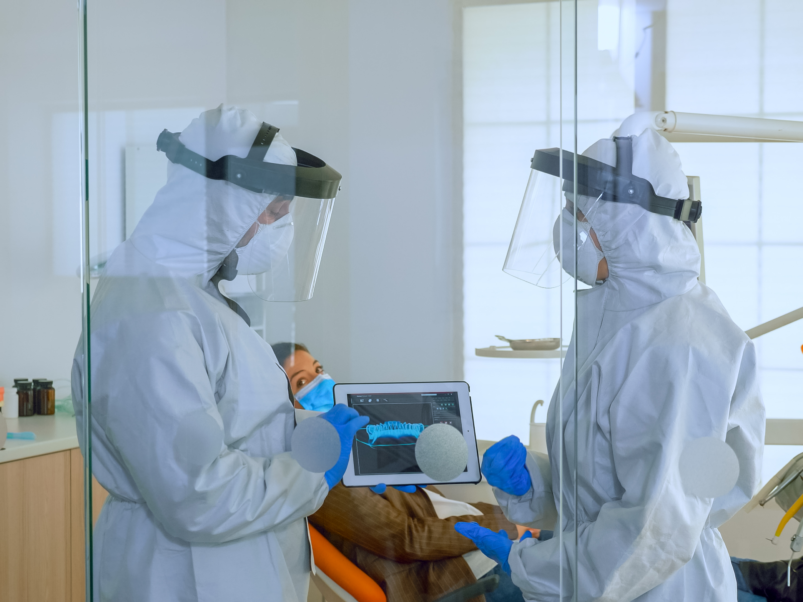 Termite-Control-Melbourne-Point-Cook-Melton