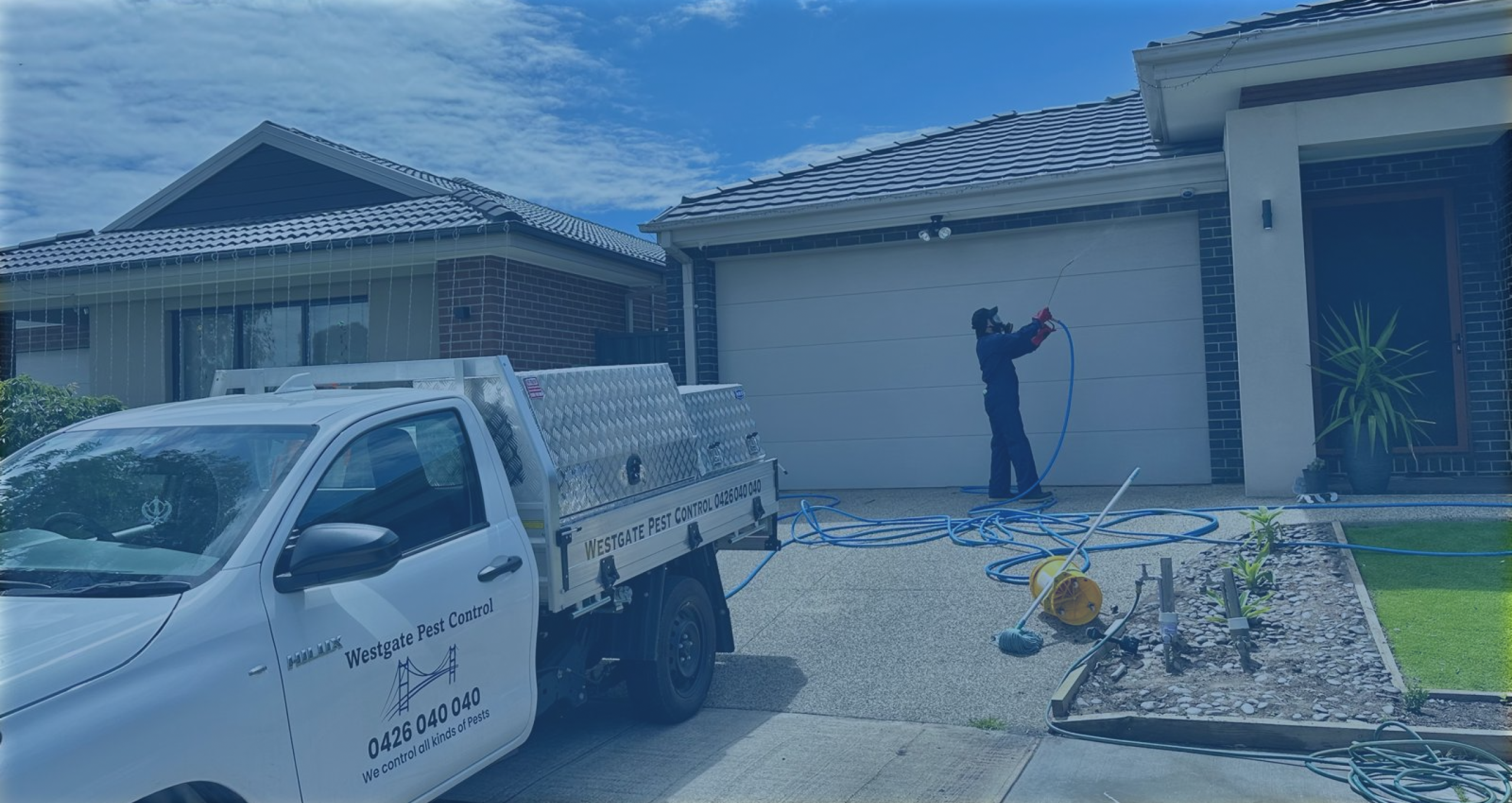 Pest-Control-Melton